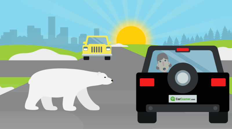 Winter Car Check: Essential Tips to Keep Your Vehicle Ready for the Cold