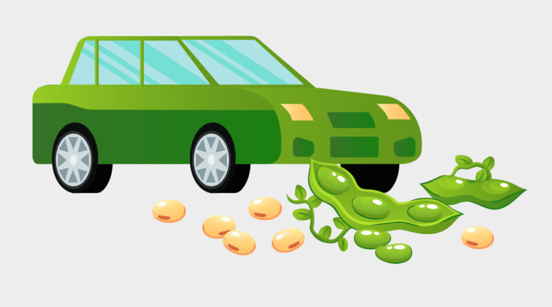 E10 Petrol Explained: What Is It and Can Your Car Run on This Fuel